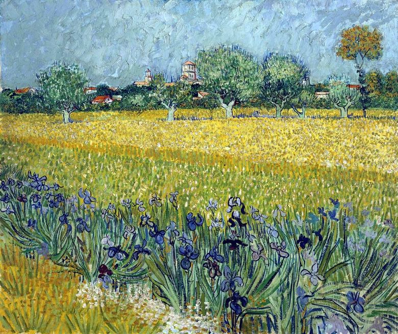 Vue dArles avec des iris au premier plan   Vincent van Gogh