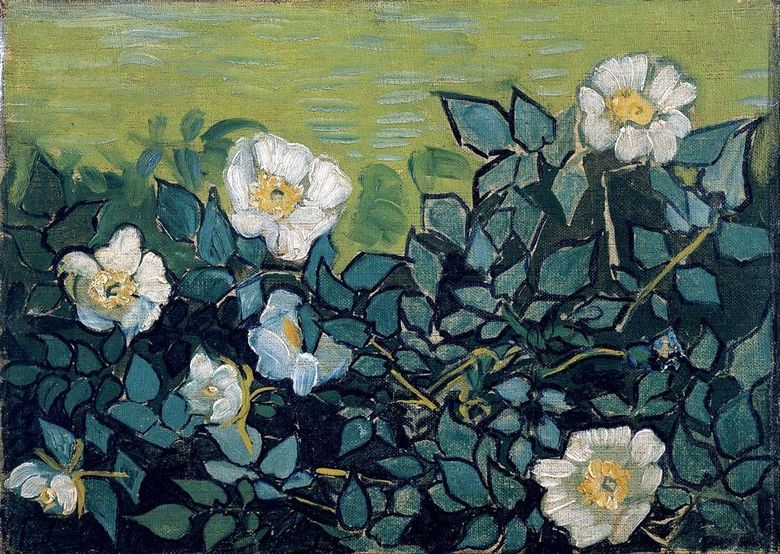 Roses sauvages   Vincent Van Gogh