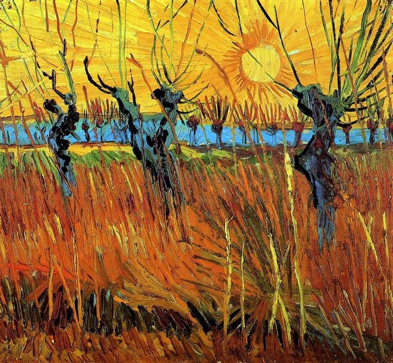 Saule au coucher du soleil   Vincent Van Gogh