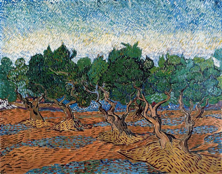 Olive Grove IV   Vincent Van Gogh