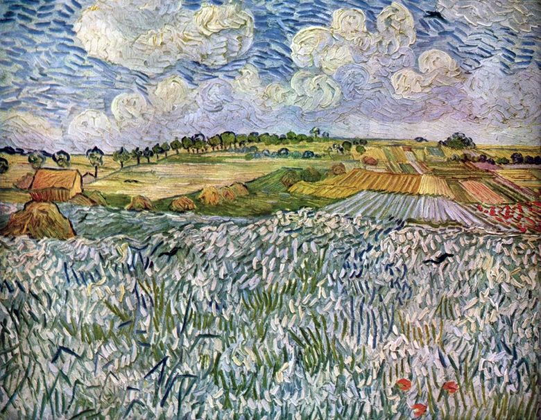 Paysage près dAuvers: Champs de blé   Vincent Van Gogh