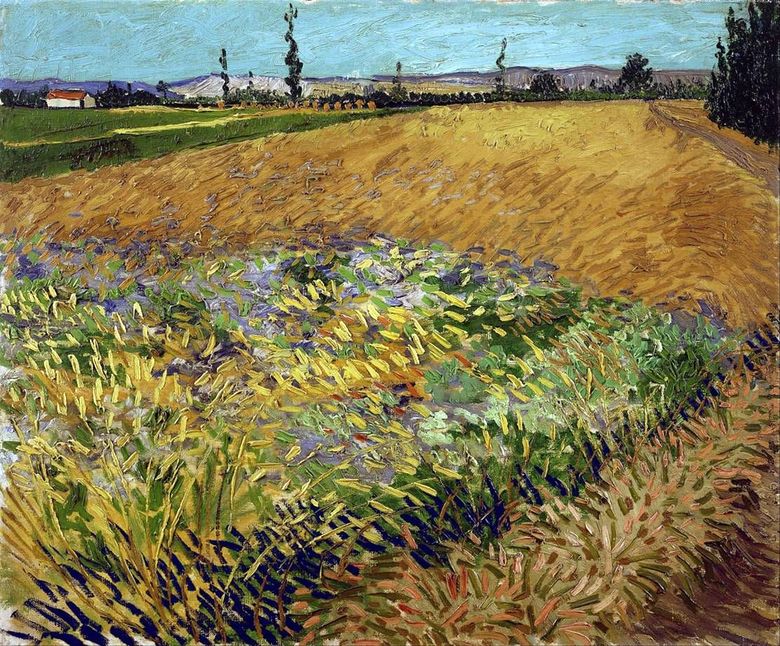 Champ de blé et contreforts des vieilles Alpes en arrière plan   Vincent van Gogh