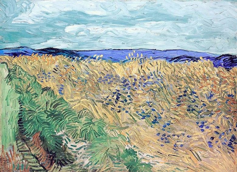 Champ de blé aux bleuets   Vincent Van Gogh