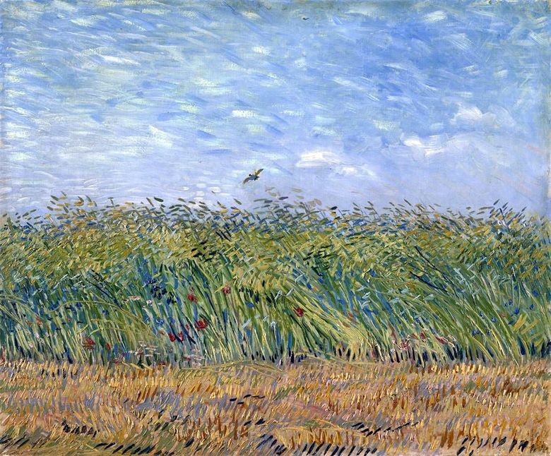 Champ de blé avec Alouette   Vincent Van Gogh