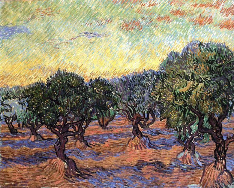 Oliveraie   Vincent Van Gogh