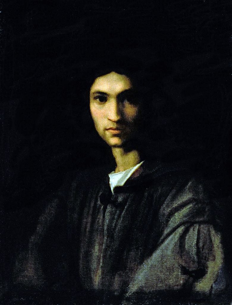 Portrait dun jeune homme   Andrea del Sarto