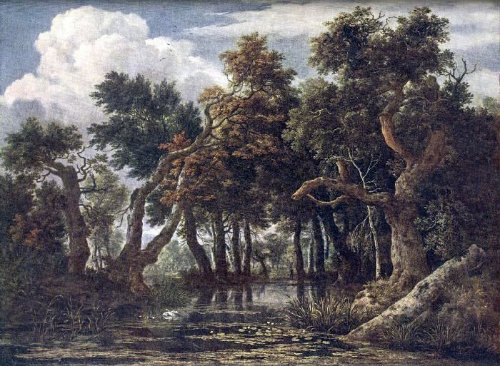 Marais   Jacob van Ruisdal