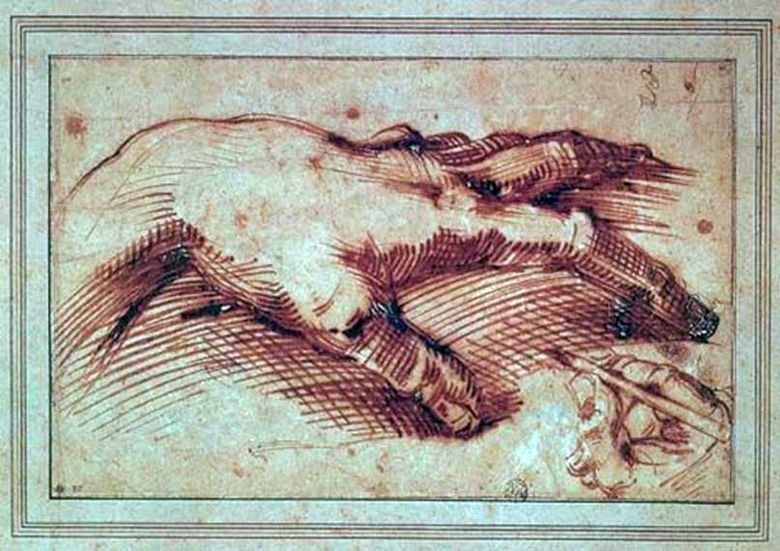 La main de Michel Ange   Michelangelo Buonarroti
