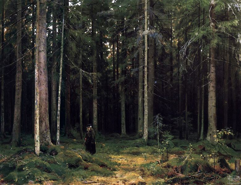 Dans la forêt de la comtesse Mordvinova. Peterhof   Ivan Shishkin