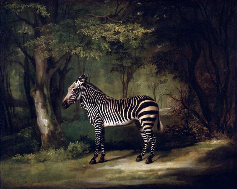 Animaux exotiques   George Stubbs