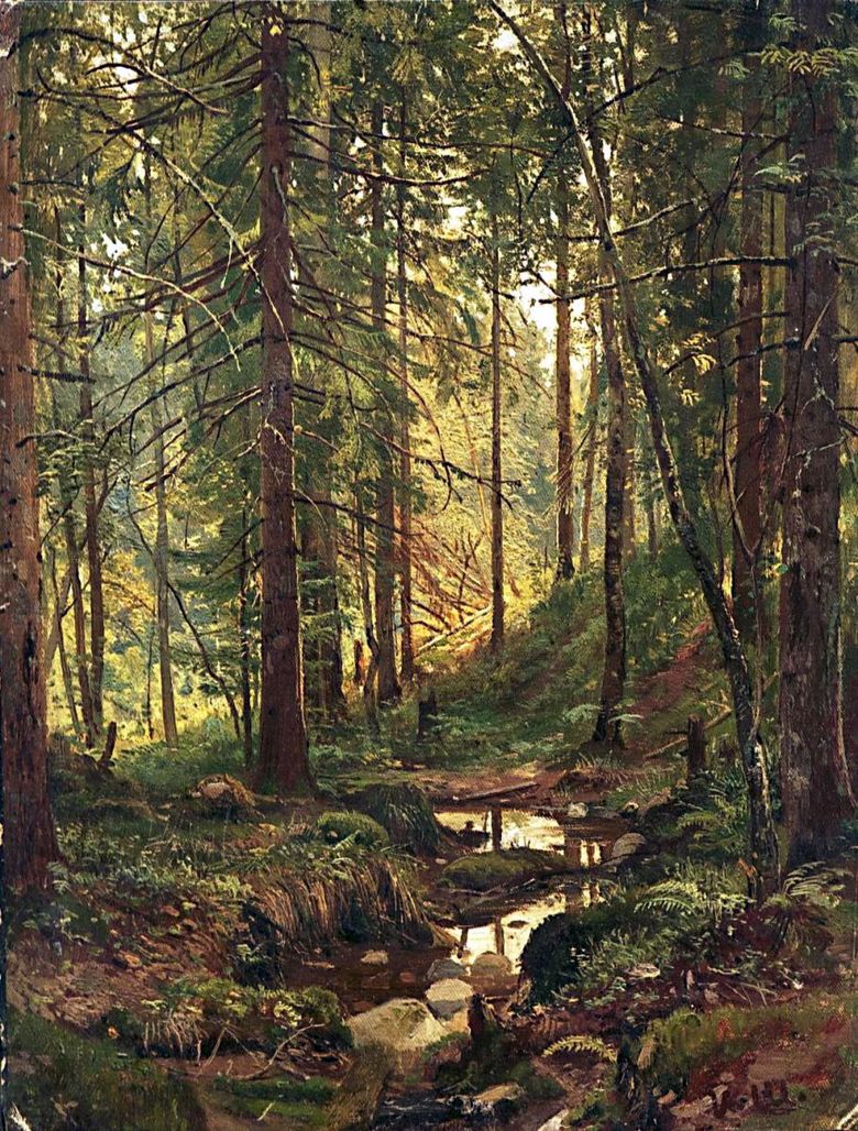 Ruisseau dans la forêt. Siverskaya   Ivan Shishkin