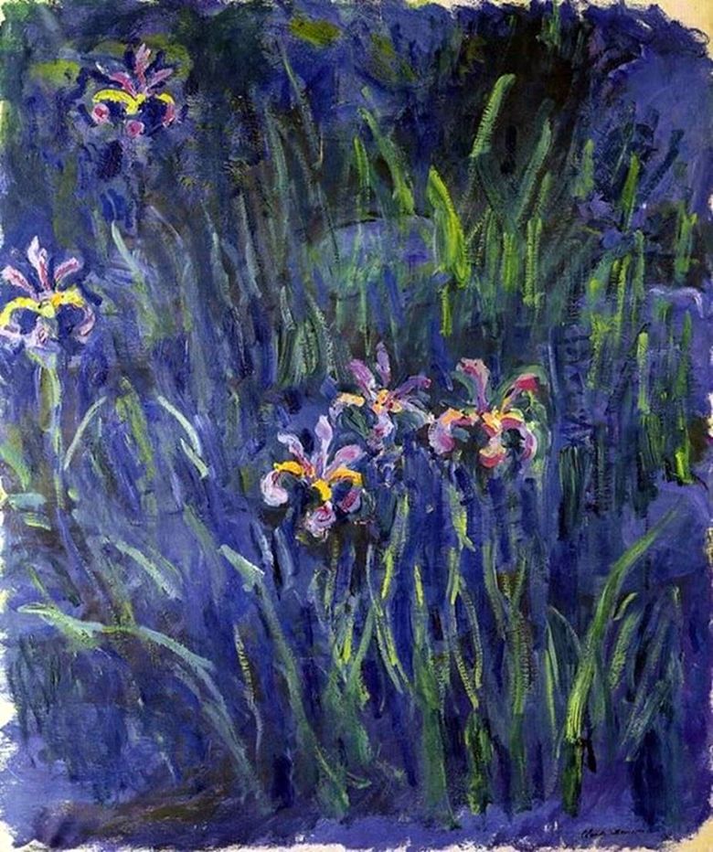 Iris   Claude Monet