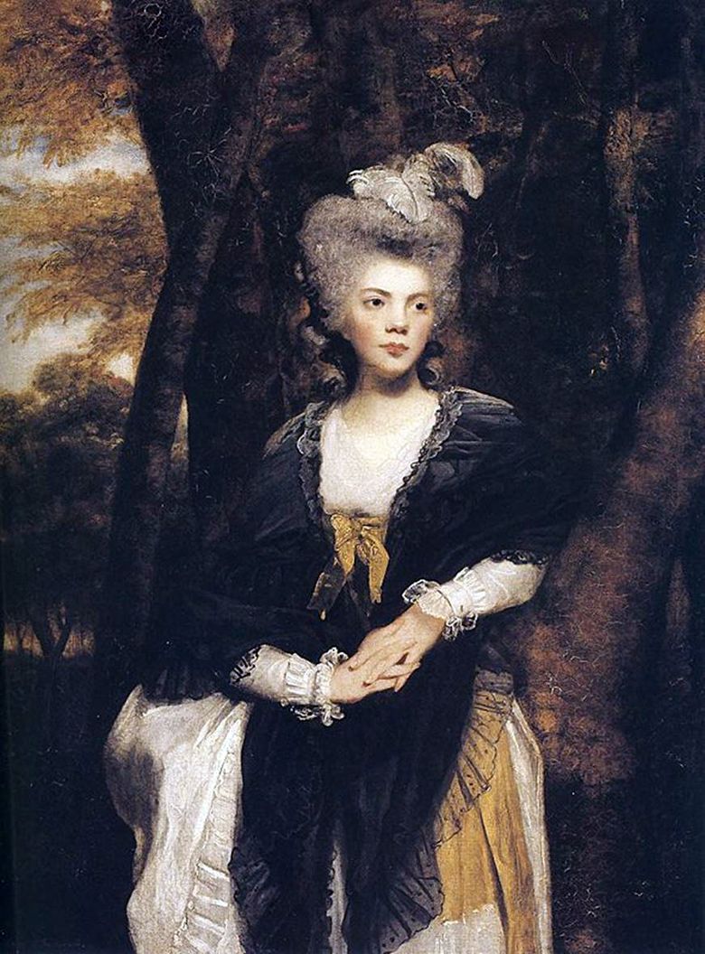 Lady Francis Finch   Reynolds Joshua