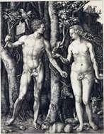 Adam et Eve (combinés)   Albrecht Durer