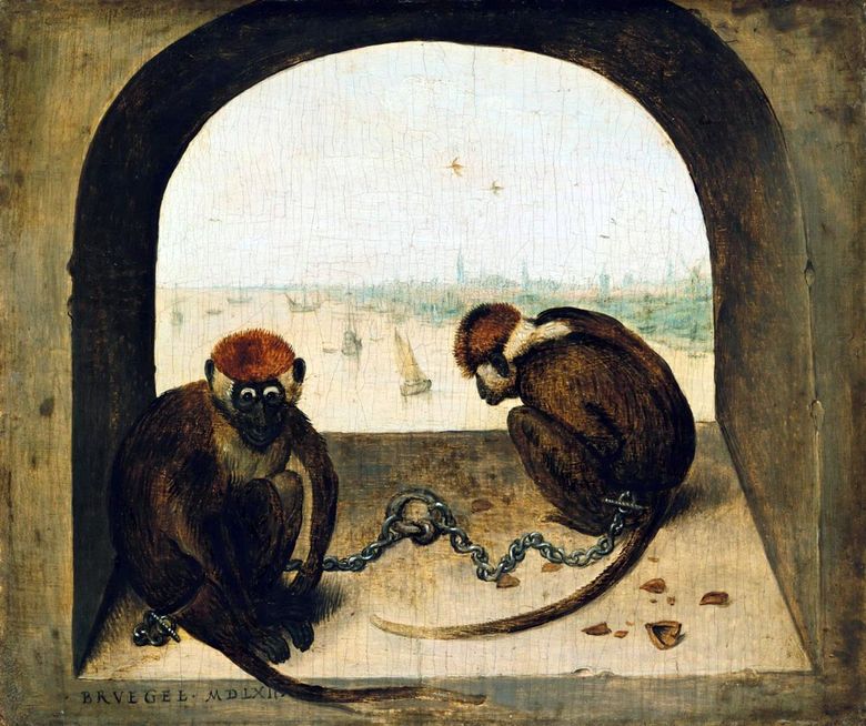 Deux singes   Peter Bruegel